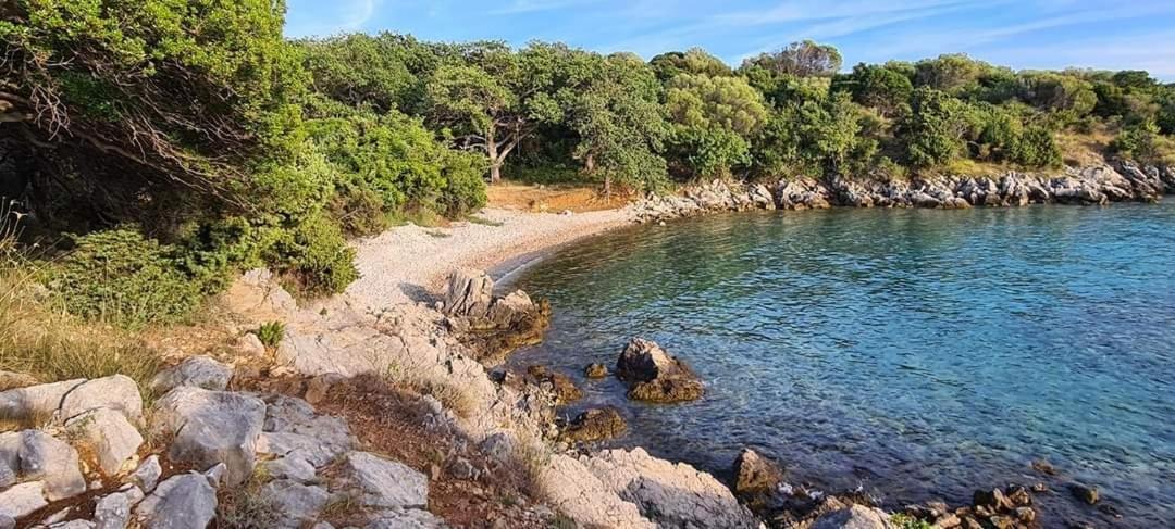 Kuca Za Odmor Denona Apartment Borovici Bagian luar foto